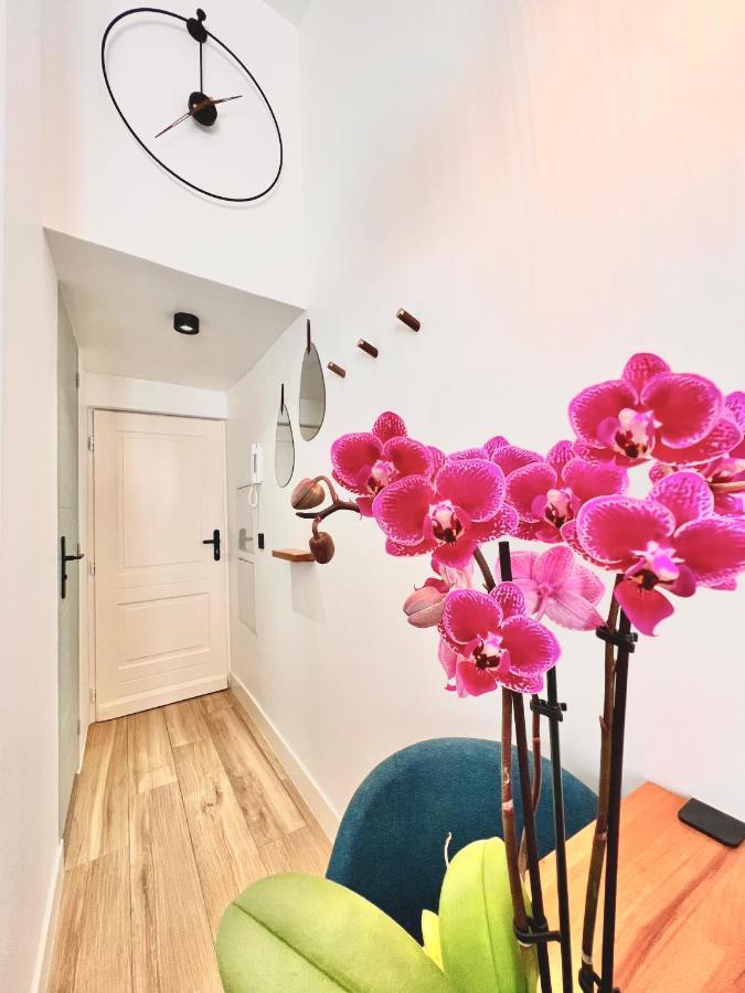 Duplex Le Gesu - Heart Of Old Town - Modern - Wifi - Clim Apartment Nice Exterior photo